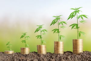 4 ý tưởng kinh doanh ít vốn mà lời cao tại nhà